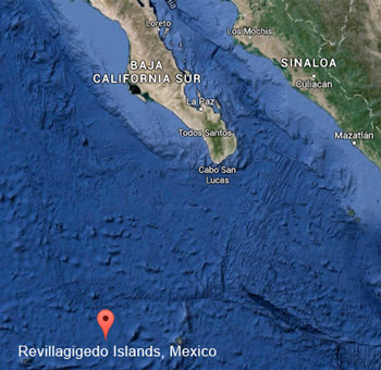Diving at Socorro Island in Baja California Sur Mexico	