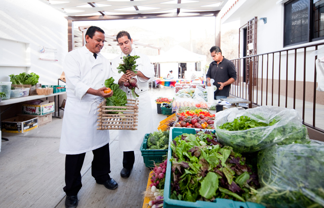 The Cabo Organic Farmers Market Los Cabos Mexico	