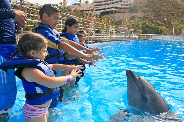Cabo Dolphins	