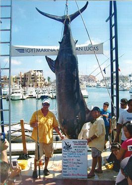 Cabo Fishing - Pisces Sportfishing	
