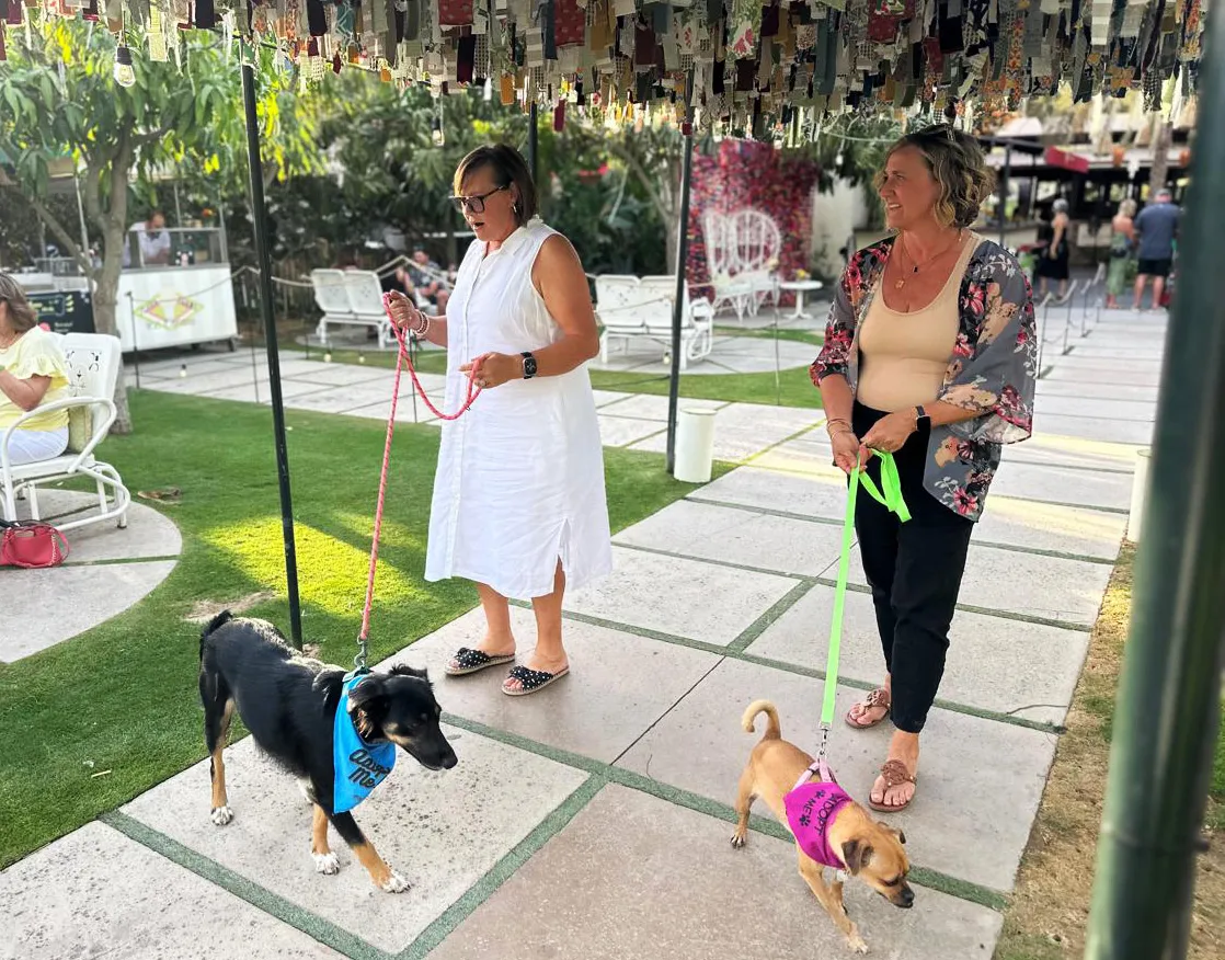 Cabo Villas gives back to charity in the Cabo San Lucas Mexico community with Kind Traveler and Corazon Flora animal rescue	