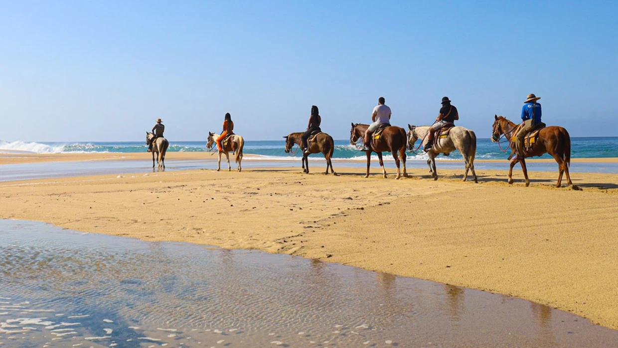 Horseback riding tours in Los Cabos Mexico	