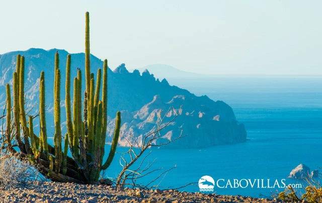 Loreto Mexico	