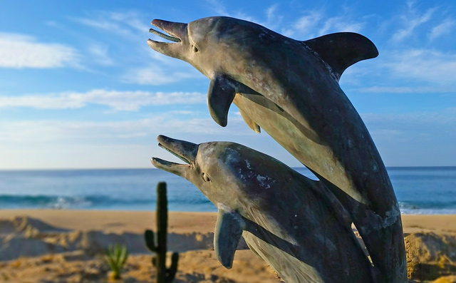 Luxury vacation rental Villa delfines in Los Cabos Mexico	