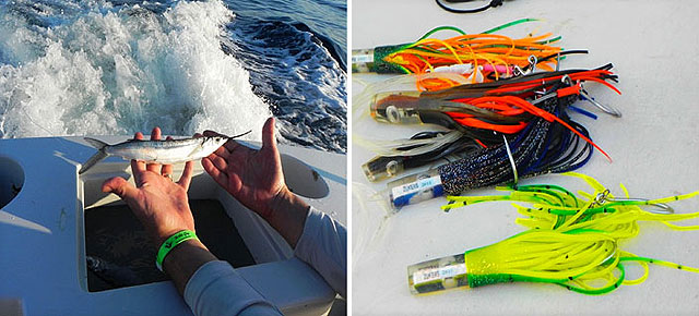 fishing in Los Cabos Mexico for marlin and dorado	