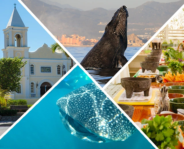 Top 4 Winter Activities in Los Cabos Mexico	