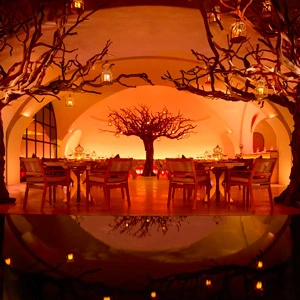 Arbol logo