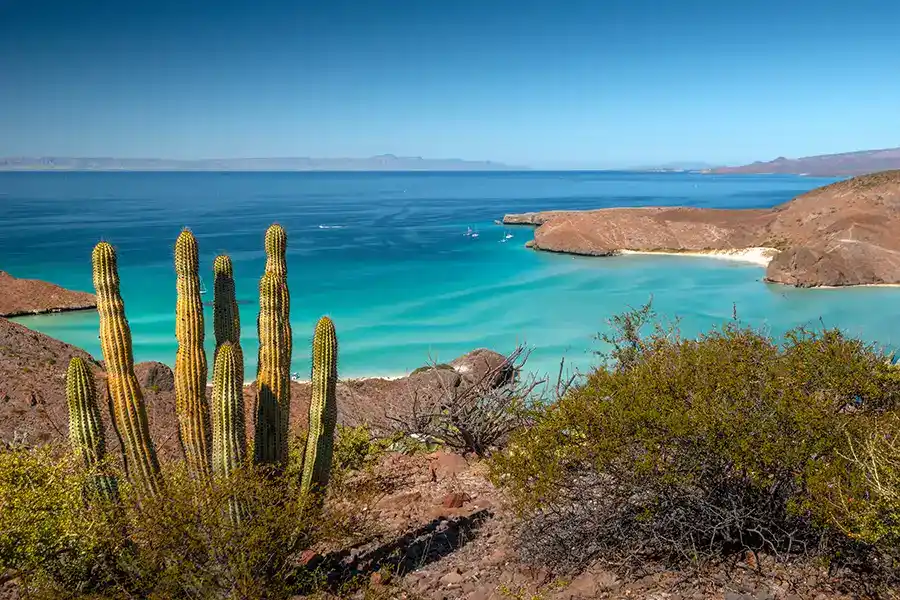 Balandra Beach - Cabo San Lucas