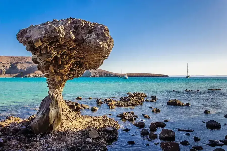 Cabo Adventures- Balandra Beach