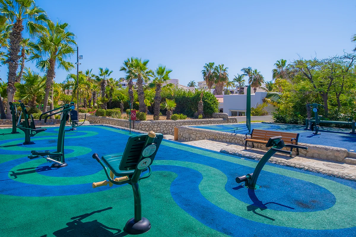 Exercise gym equipment Pedregal