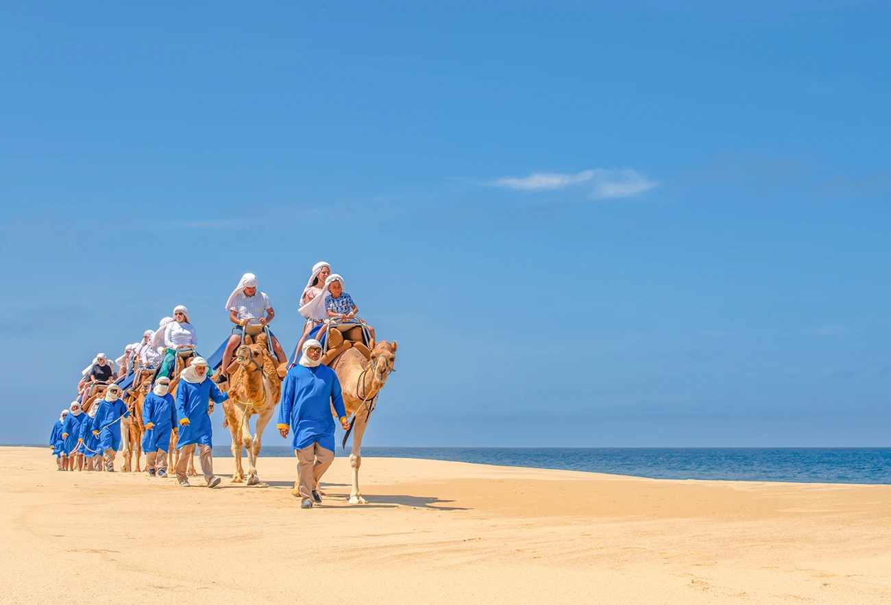 Tierra Sagrada Beach Club and Adventure Park Cabo San Lucas Activities Camel tour