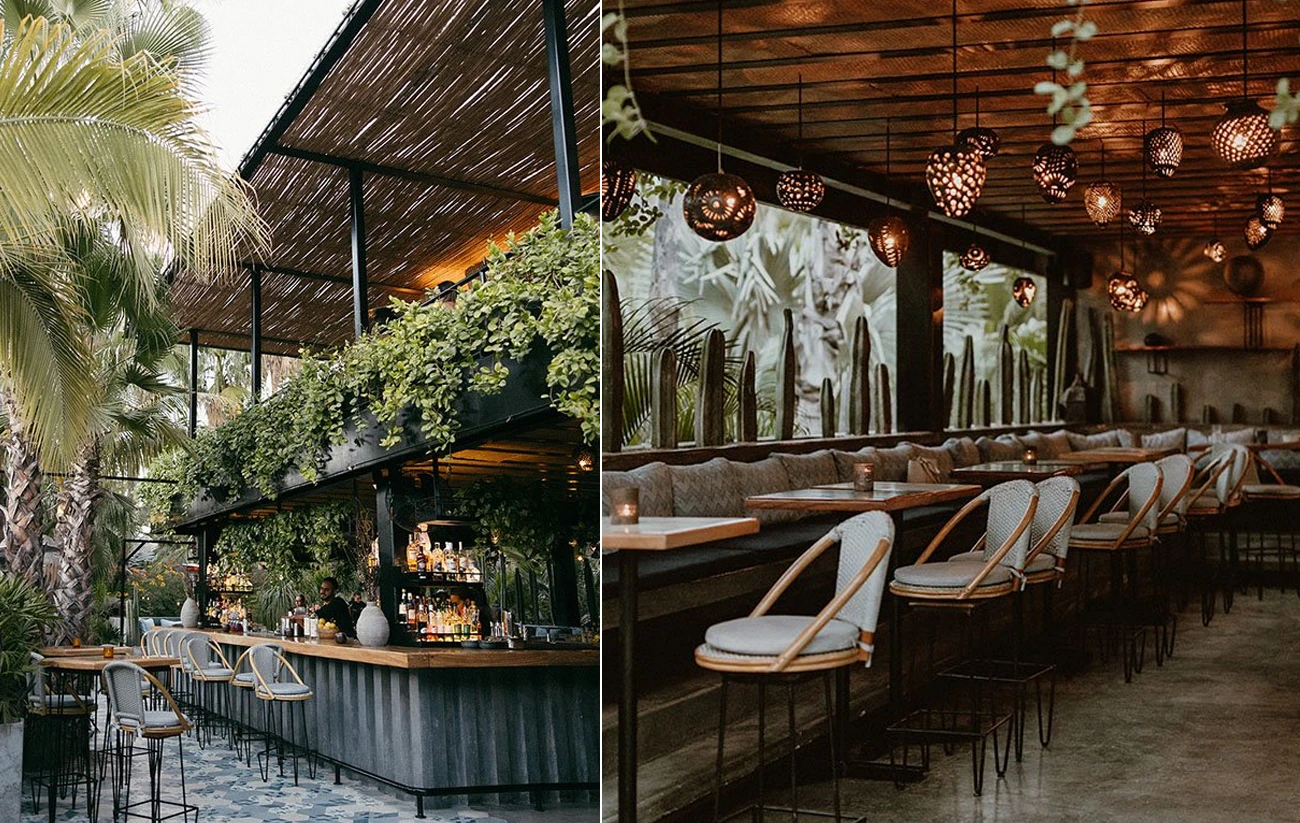 Farm to Table Restaurants and fine dining in Los Cabos