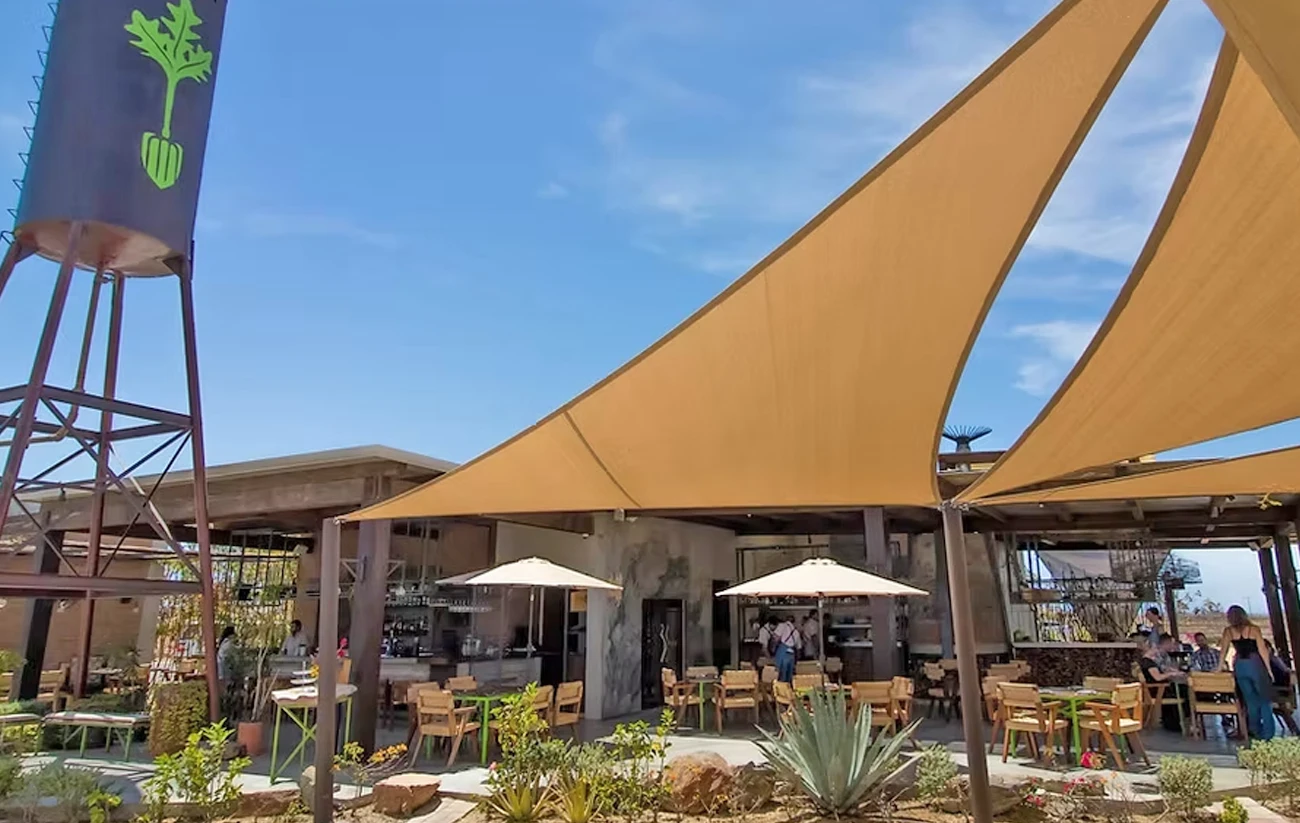 Farm to Table Restaurants and fine dining in Los Cabos