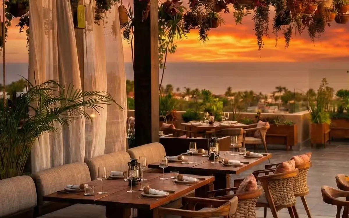Cabo San Lucas New Restaurants