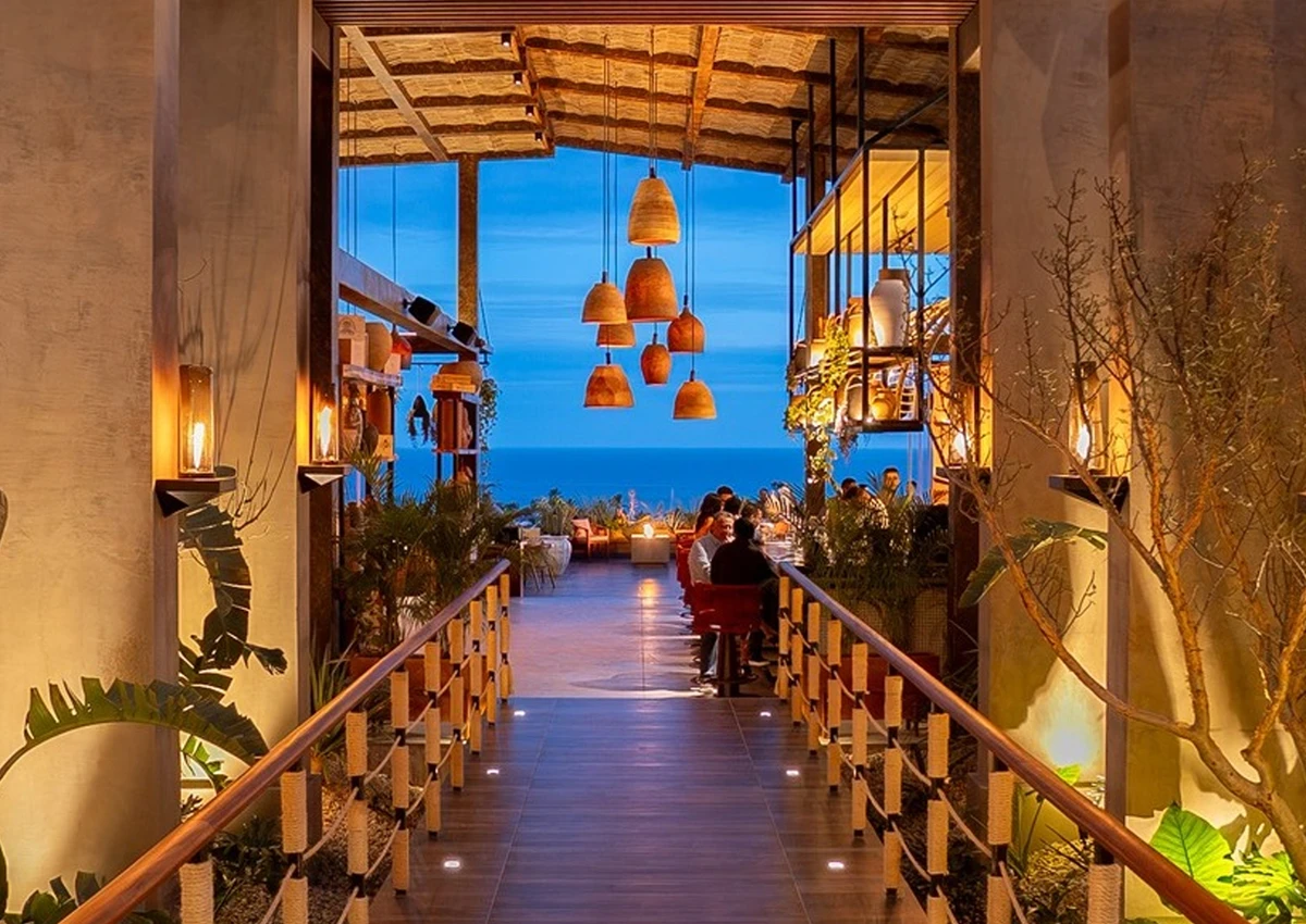 Cabo San Lucas New Restaurants Amara Fine Dining