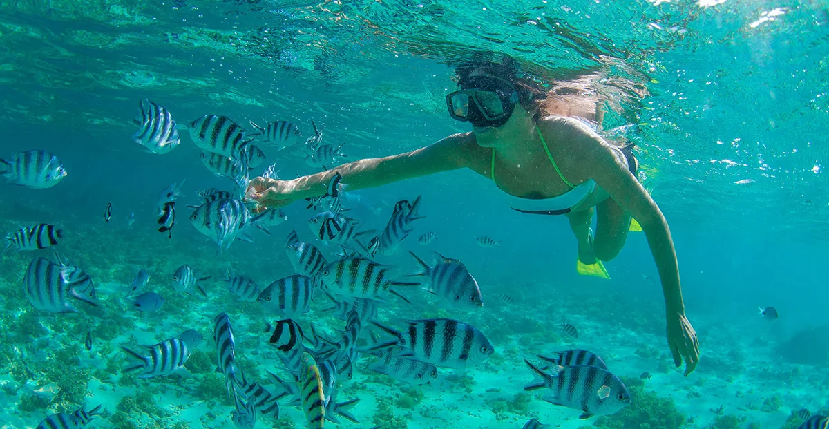 Snorkeling in Cabo