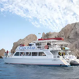 Cabo Expeditions Diving Los Cabos Mexico
